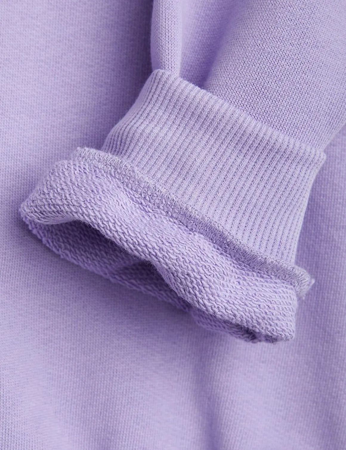 Dolphin Collar Sweatshirt