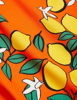 Lemons Woven Dress