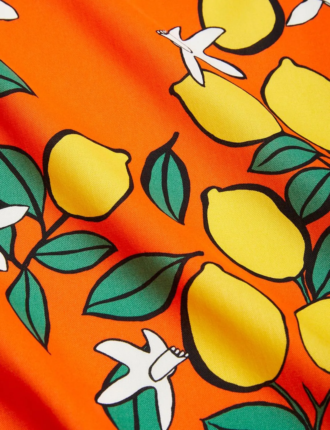 Lemons Woven Dress