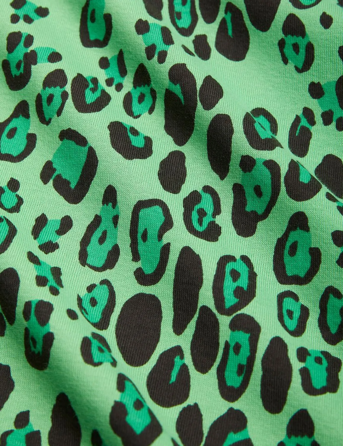 Leopard Long Sleeve Dress