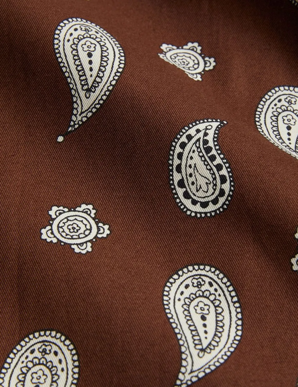 Paisley Woven Shirt