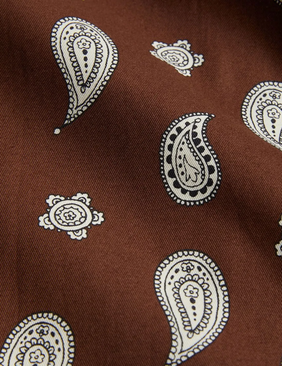 Paisley Woven Shorts
